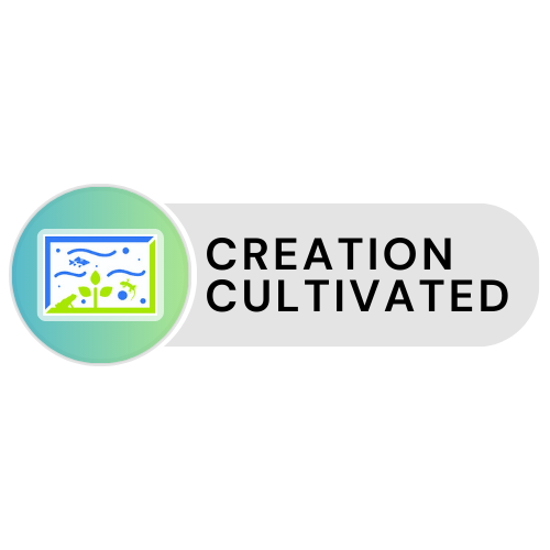 Creation Cultivated
