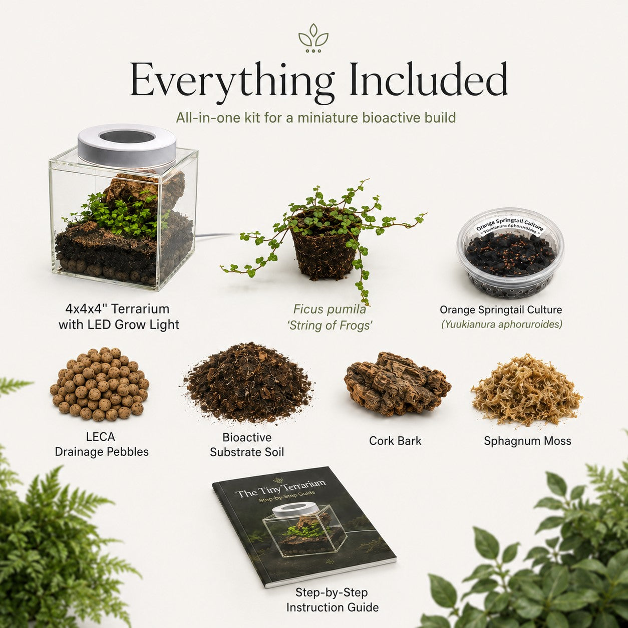 Complete Terrarium Kit - 4 Inch