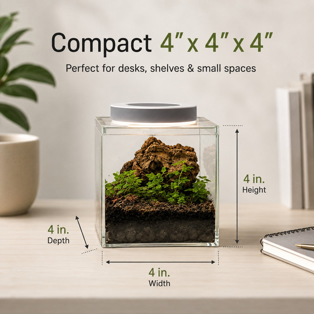 Complete Terrarium Kit - 4 Inch