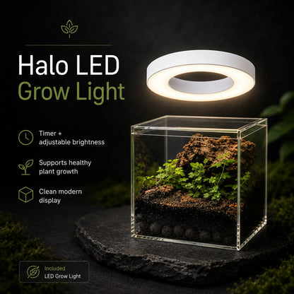 Complete Terrarium Kit - 4 Inch