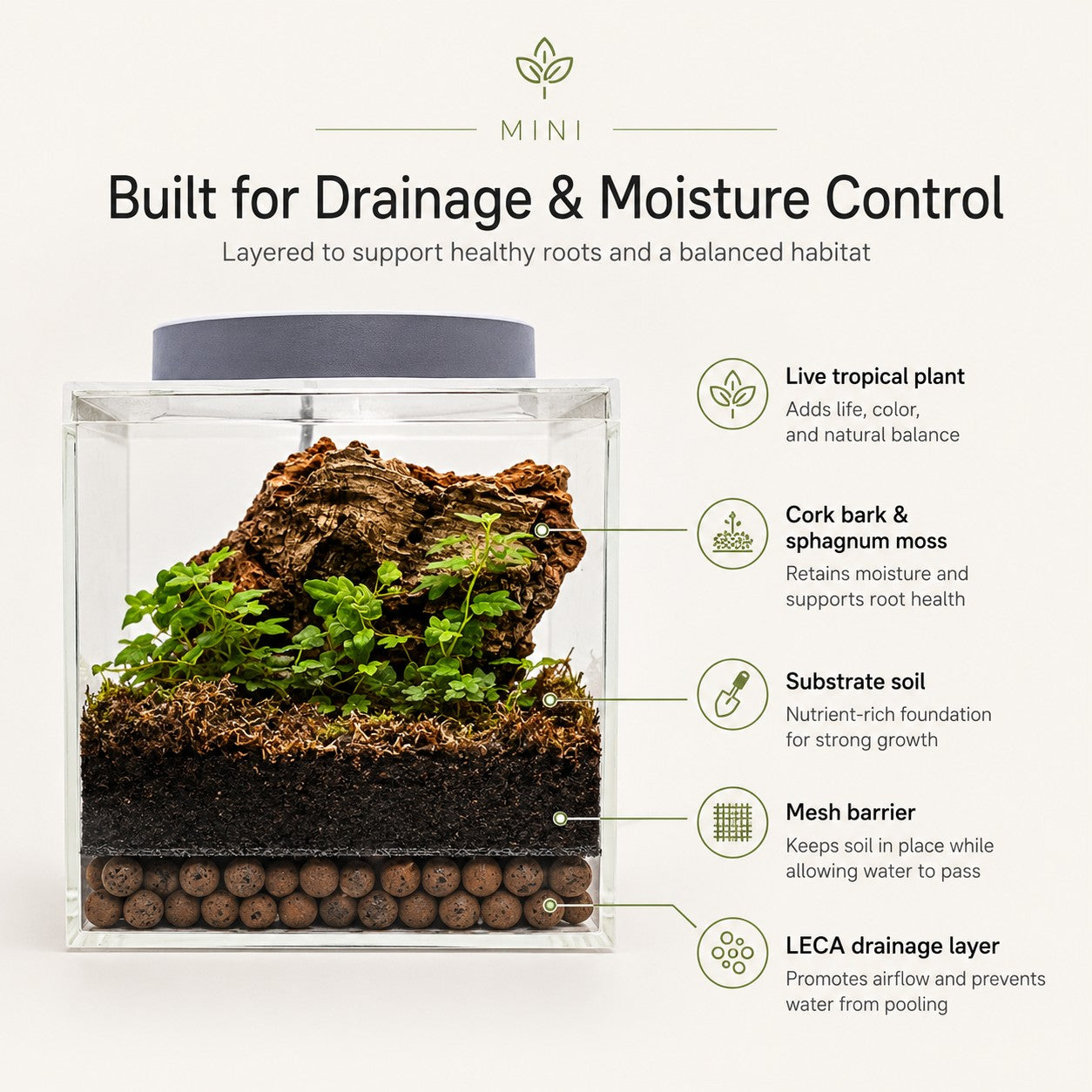 Complete Terrarium Kit - 4 Inch